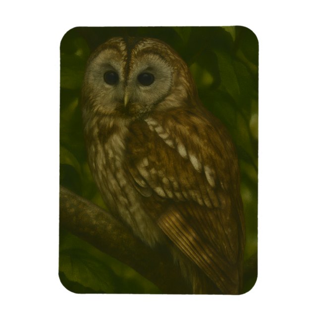 Forest Sentinel – Tawny Owl Wildlife Art Magnet (Vertical)