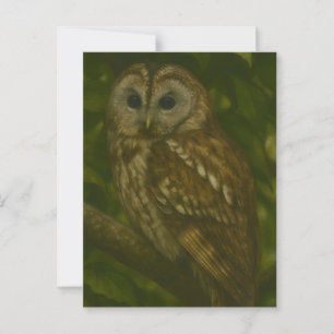 Forest Sentinel – Tawny Owl Wildlife Art Postcard
