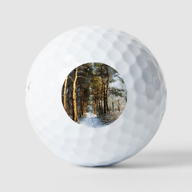 Forest Snow Scene be6 gbcna Golf Balls (Front)