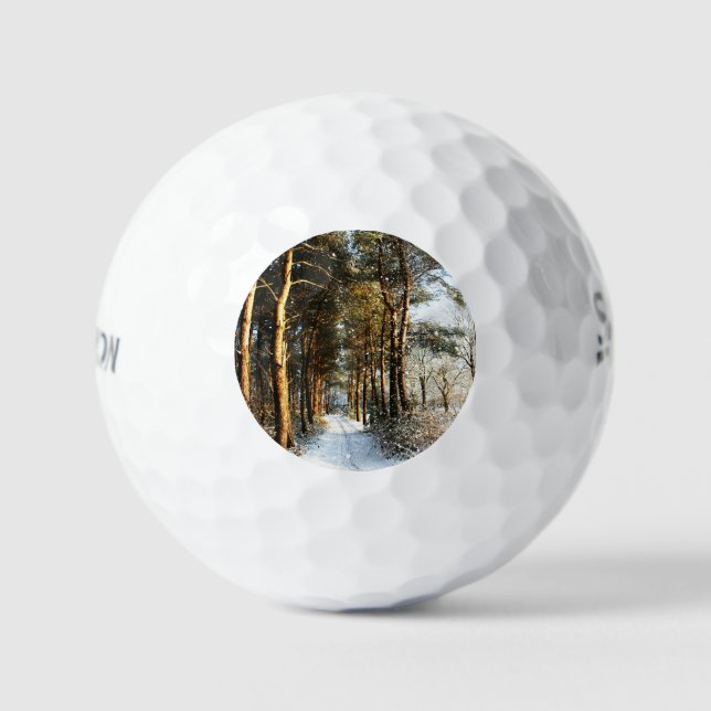 Forest Snow Scene ssf gbcnm Golf Balls (Front)