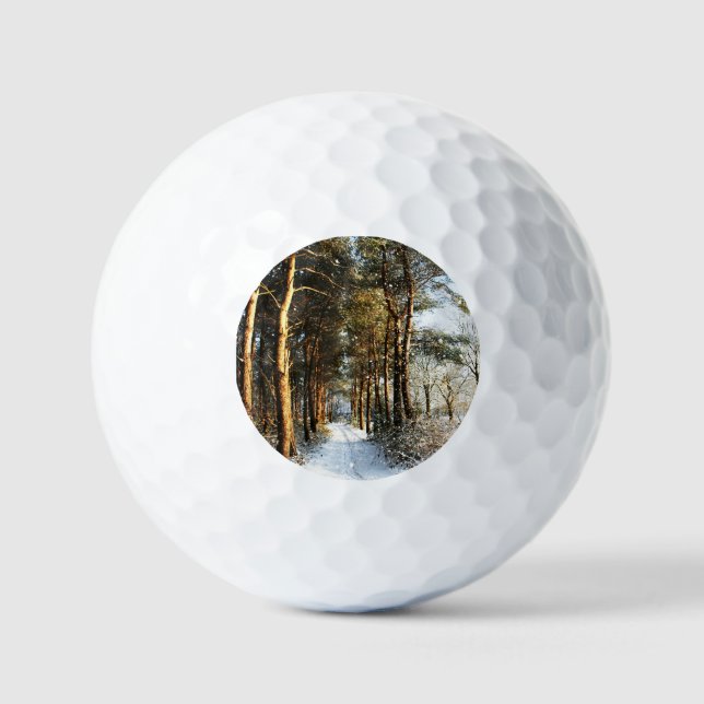 Forest Snow Scene va gbcnm Golf Balls (Front)