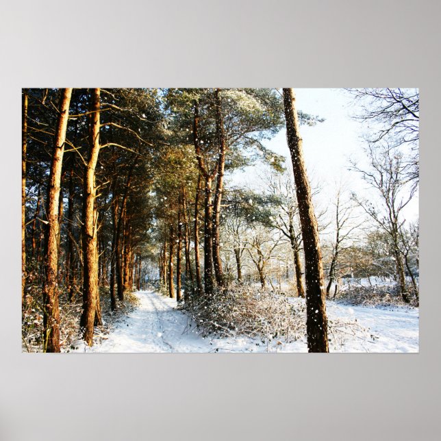 Forest Snow Scene wap arc Poster (Front)
