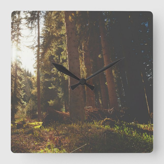 Forest Square Wall Clock (Front)