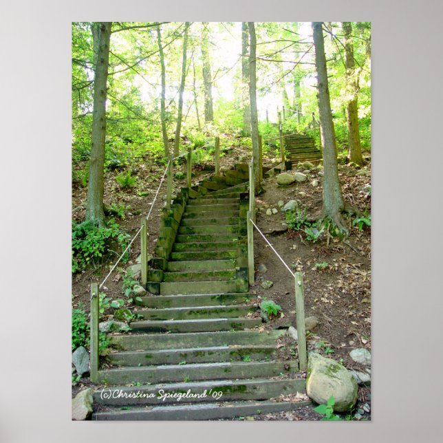 Forest Stairs Path Poster (Front)