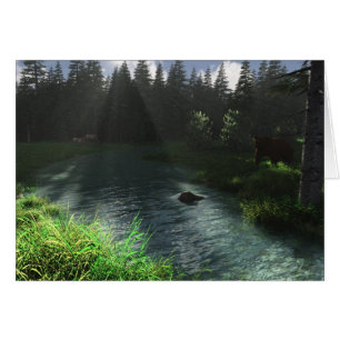 Forest Stream