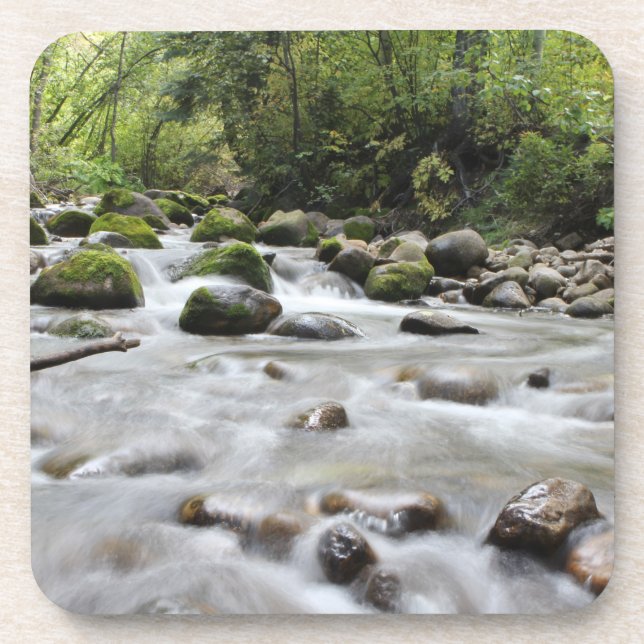 Forest Stream coaster set (Front)