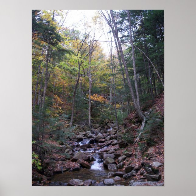 Forest Stream in Fall Poster or Print (Front)