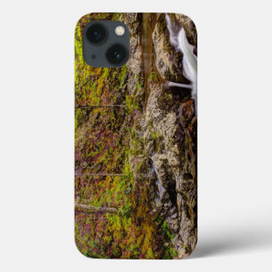 Forest Stream In Great Smoky Mountains iPhone 13 Case