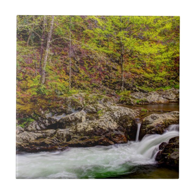 Forest Stream In Great Smoky Mountains Ceramic Tile (Front)