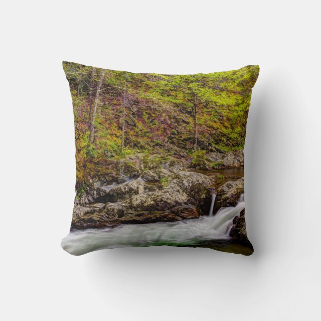 Forest Stream In Great Smoky Mountains Cushion (Front)