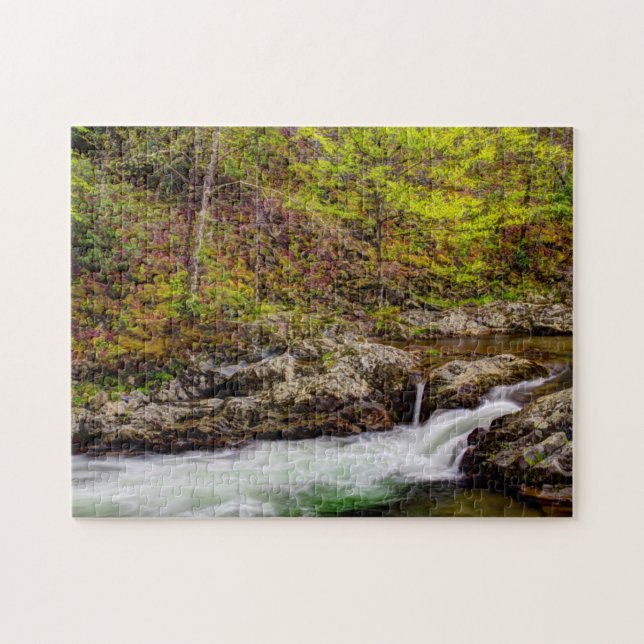 Forest Stream In Great Smoky Mountains Jigsaw Puzzle (Horizontal)