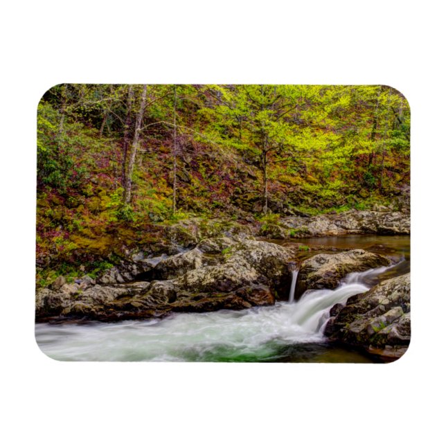 Forest Stream In Great Smoky Mountains Magnet (Horizontal)