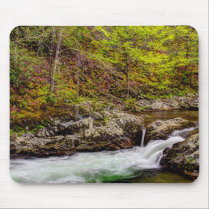Forest Stream In Great Smoky Mountains Mouse Pad