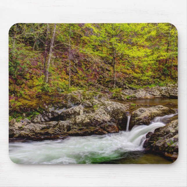 Forest Stream In Great Smoky Mountains Mouse Pad (Front)