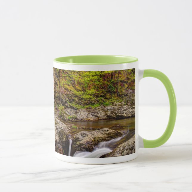 Forest Stream In Great Smoky Mountains Mug (Right)