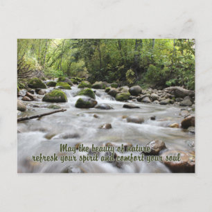 Forest Stream postcard