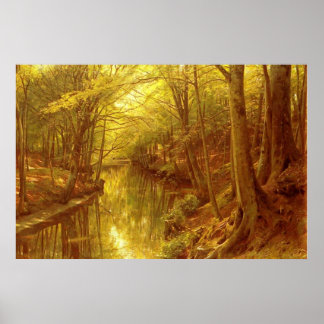 Forest Stream Poster