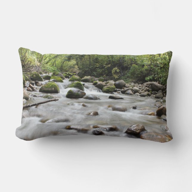 Forest Stream throw pillows (Front)