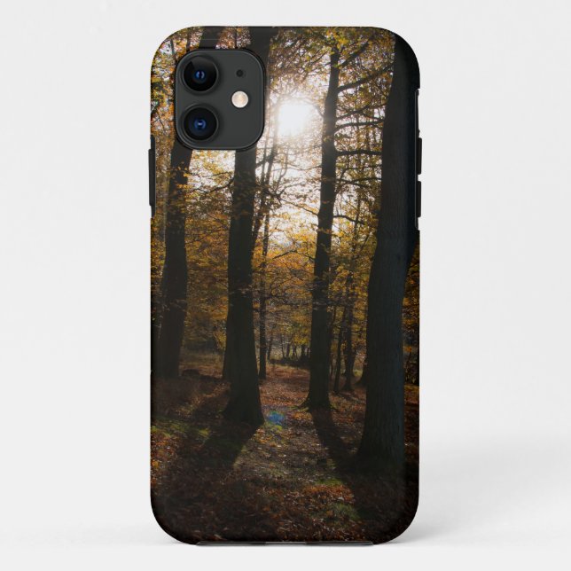 Forest sun iPhone 5 case (Back)