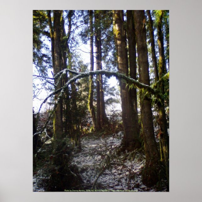 Forest Sun Rays in the Snow #32 Poster (Front)