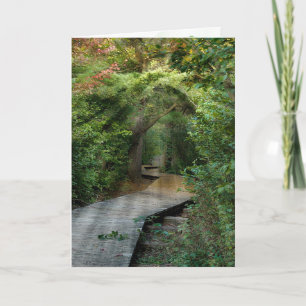 Forest Sunbeams for Sympathy Card