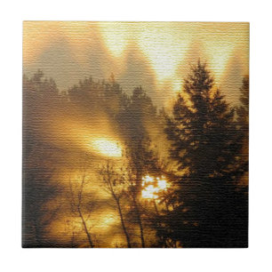Forest Sunrise Ceramic Tile