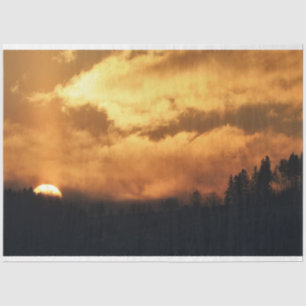 Forest Sunset Decoupage Tissue Paper