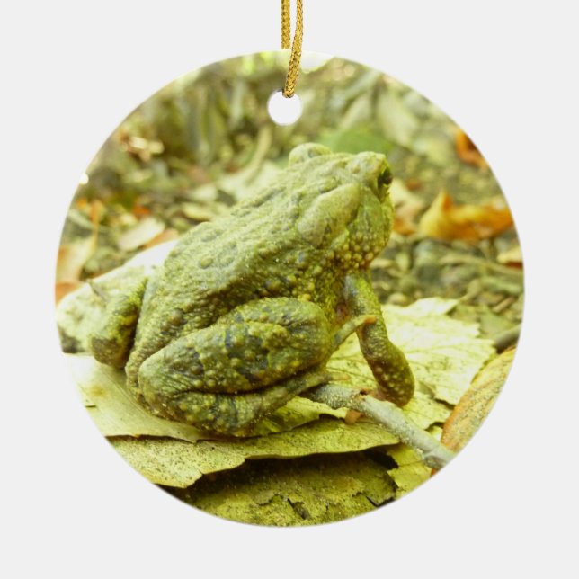 Forest Toad Ceramic Ornament (Front)