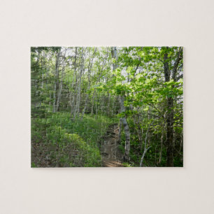 Forest Trail at Acadia Jigsaw Puzzle