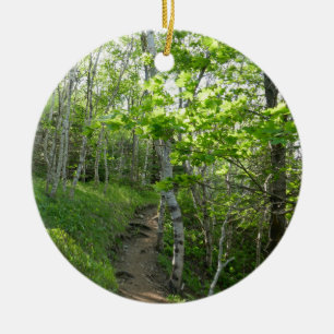 Forest Trail at Acadia National Park Ceramic Ornament