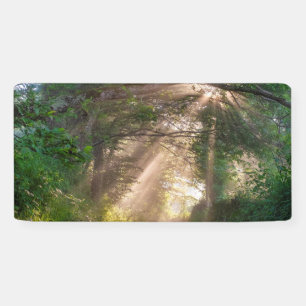 Forest trail banner