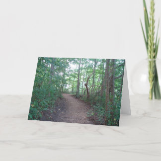 Forest Trail Blank Greeting Card