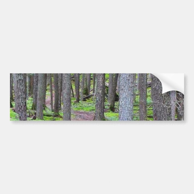 Forest Trail Bumper Sticker (Front)
