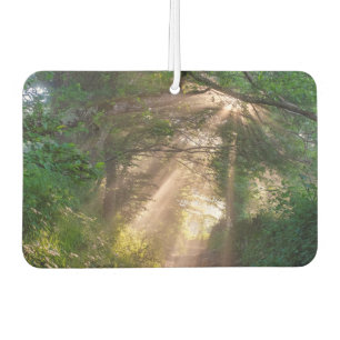 Forest trail car air freshener