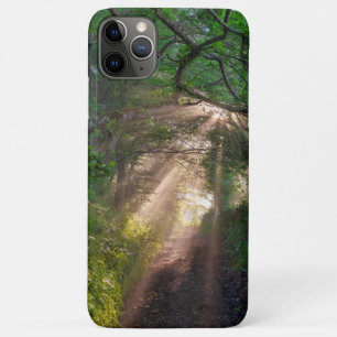 Forest trail iPhone 11 pro max case