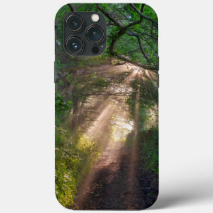 Forest trail iPhone 13 pro max case