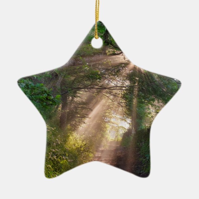 Forest trail ceramic ornament (Front)