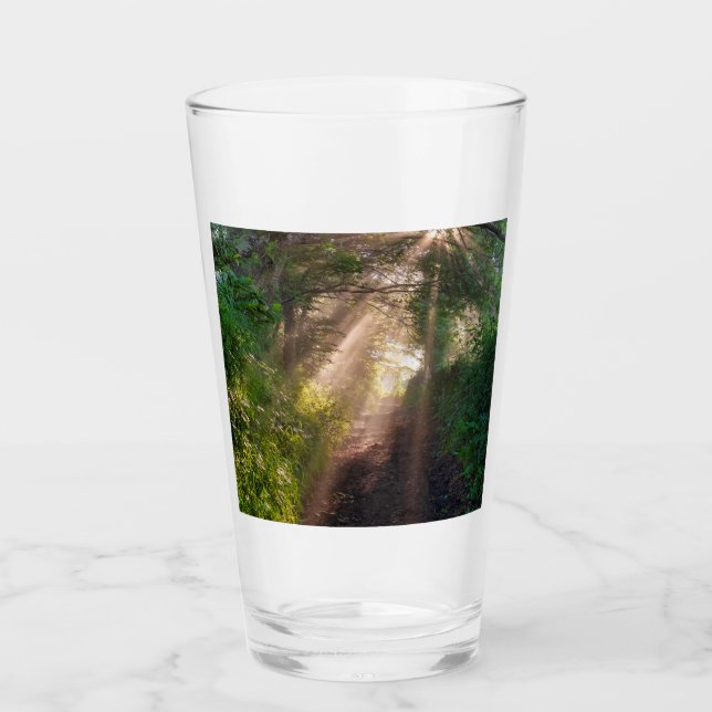 Forest trail glass (Front)
