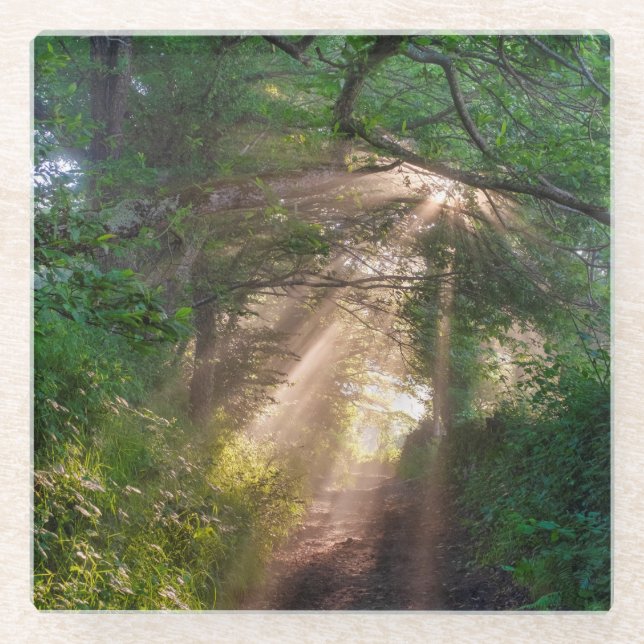 Forest trail glass coaster (Front)