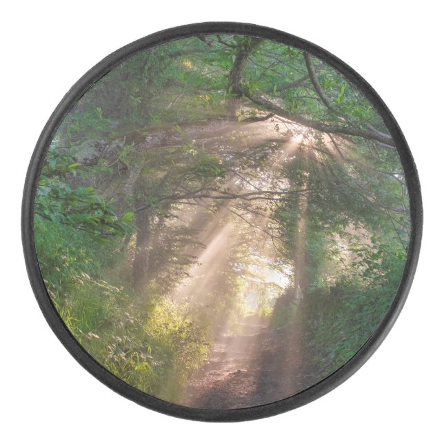 Forest trail hockey puck (Front)