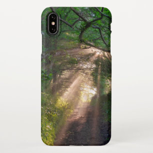 Forest trail iPhone case