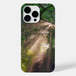 Forest trail iPhone 14 pro max case