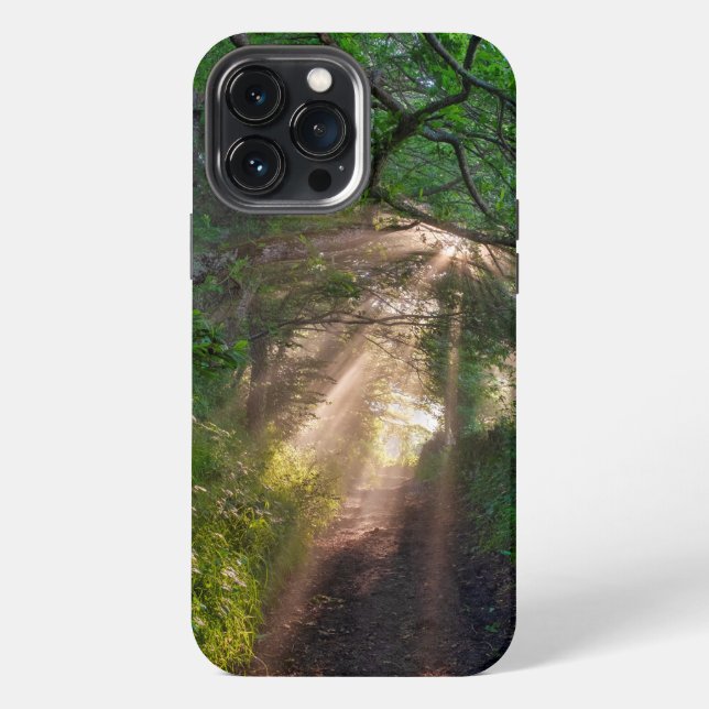 Forest trail iPhone case (Back)
