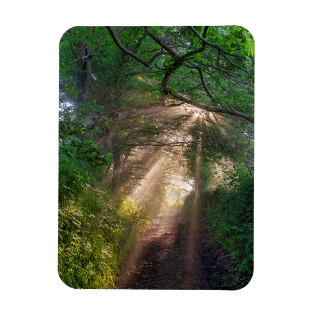 Forest trail magnet (Vertical)
