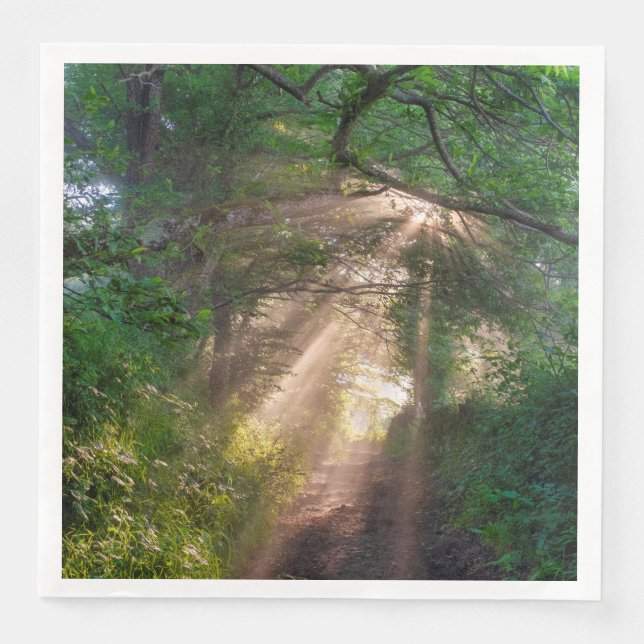 Forest trail napkin (Front)
