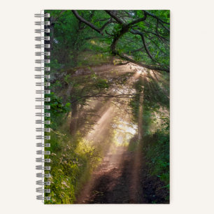 Forest trail notebook