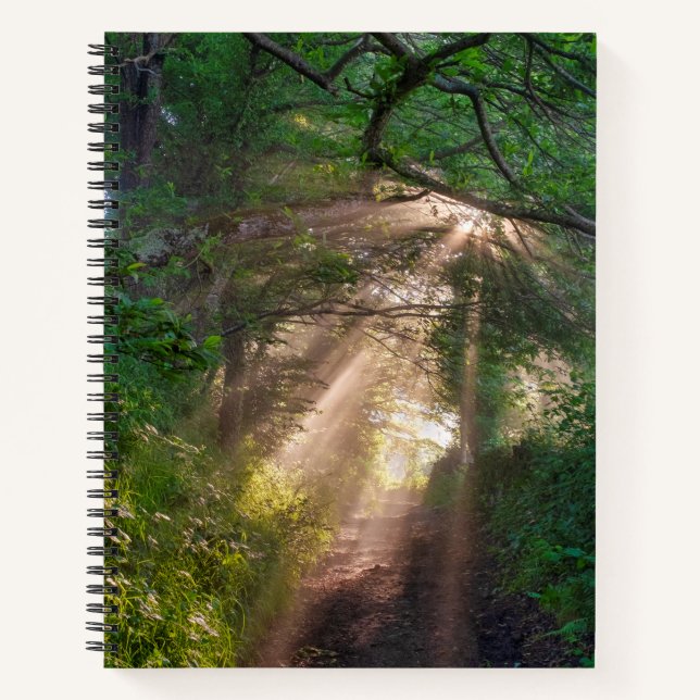 Forest trail notebook (Front)