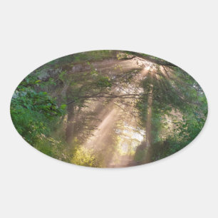 Forest trail oval sticker