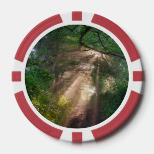 Forest trail poker chips
