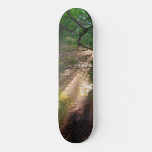 Forest trail skateboard